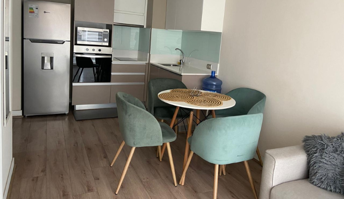 Arriendo Departamento Amoblado 1D/1B, Metro Parque Almagro Santiago Centro