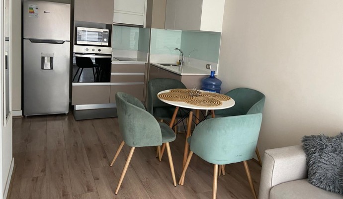 Departamento amoblado de 1 dormitorio y 1 baño en Santiago Centro