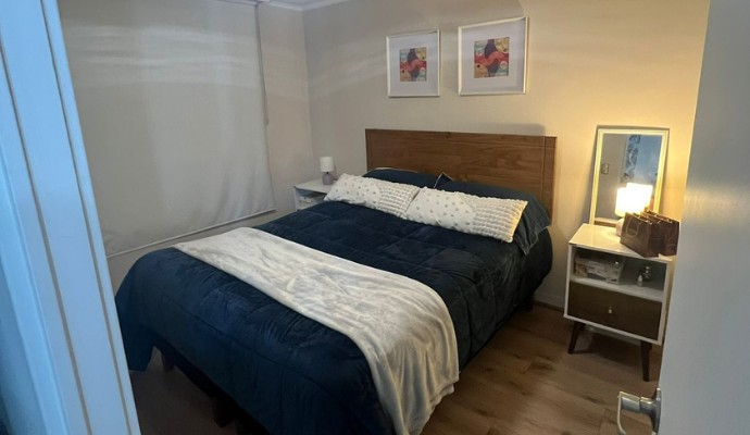 Departamento amoblado de 1 dormitorio y 1 baño en Santiago Centro